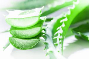 جوانسازی پوست به وسیله ژل آلئو ورا